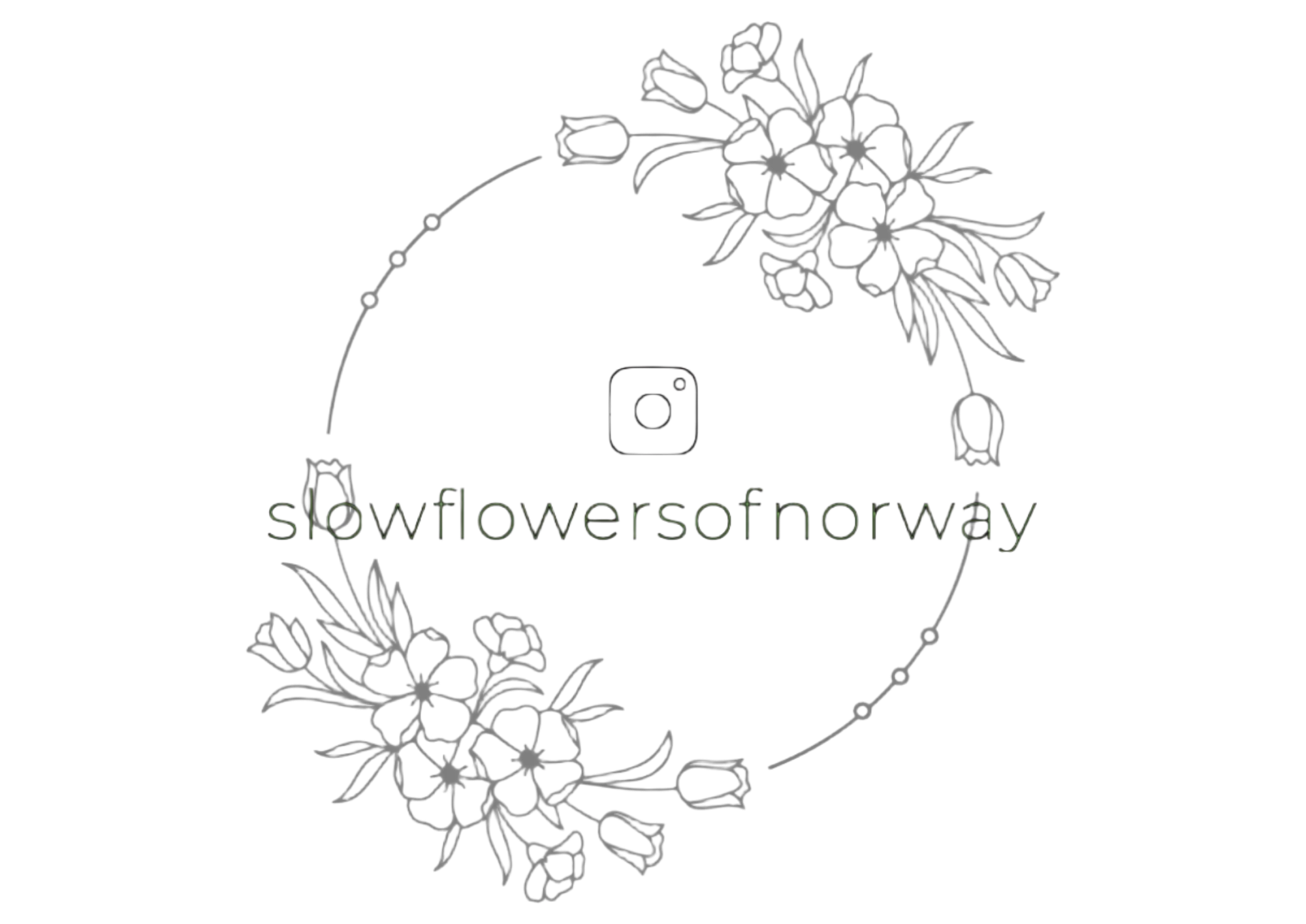 slowflowersofnorway