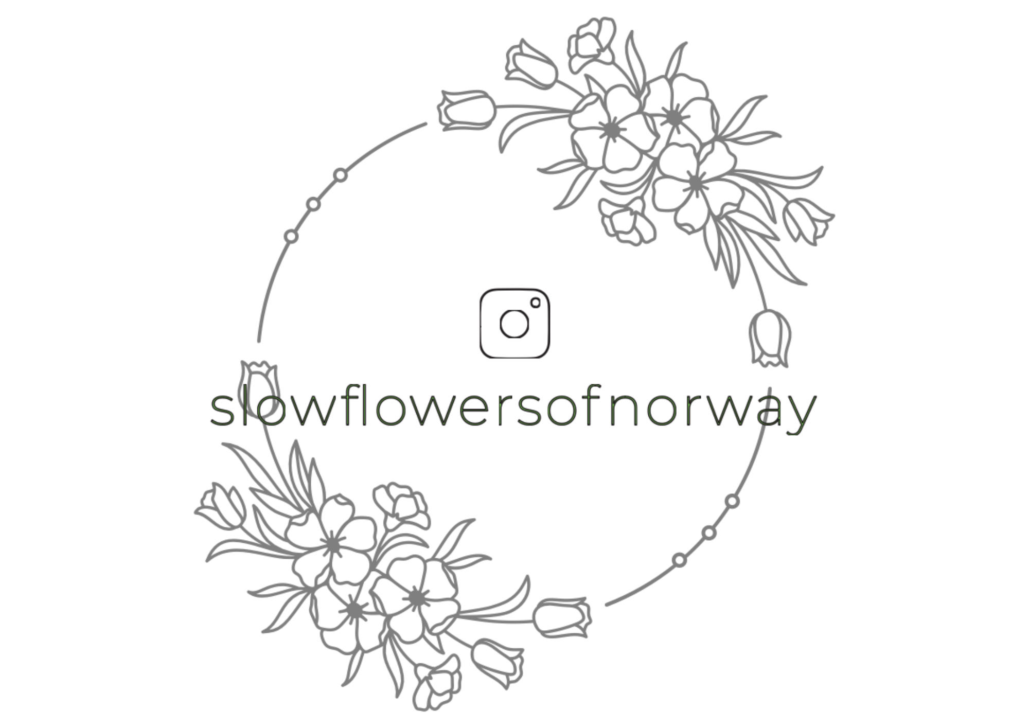 slowflowersofnorway