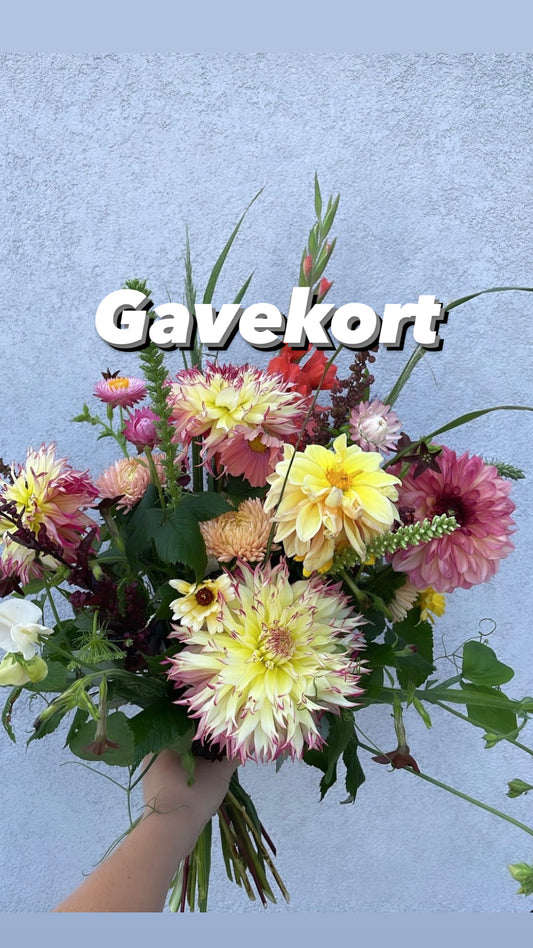 Gavekort