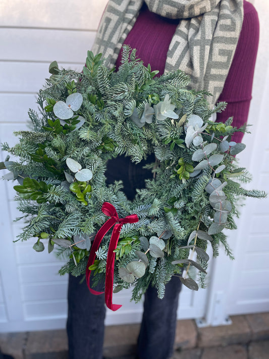 Dørkrans eucalyptus